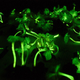 Illustration for article titled Dont Eat the Glowing Mushrooms